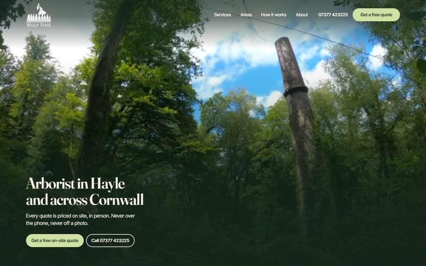 The Wolf Pine home page: woodland photographed from below, headed Arborist in Hayle and across Cornwall
